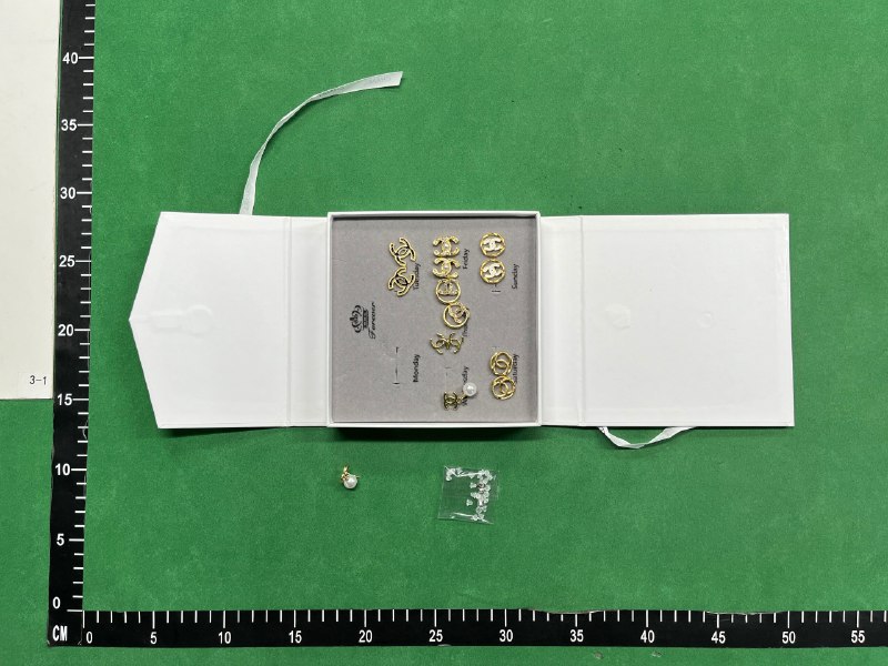 Gucci GG Supreme Earrings [29 styles] -2