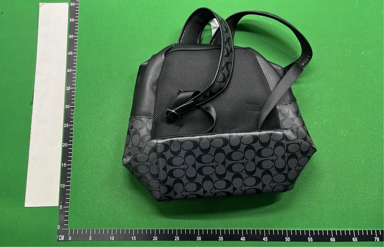 Coach Backpack -3