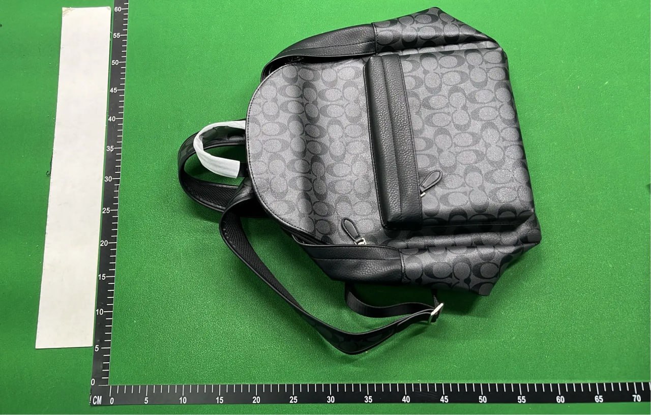 Coach Backpack -4