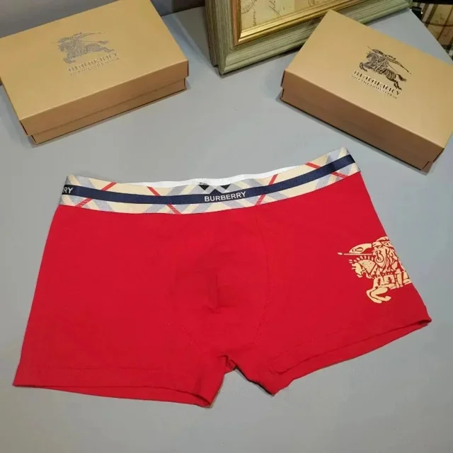  Burberry Warhorse Logo Boxer 