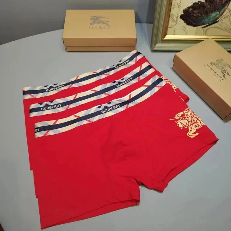  Burberry Warhorse Logo Boxer Briefs [3 styles] -4