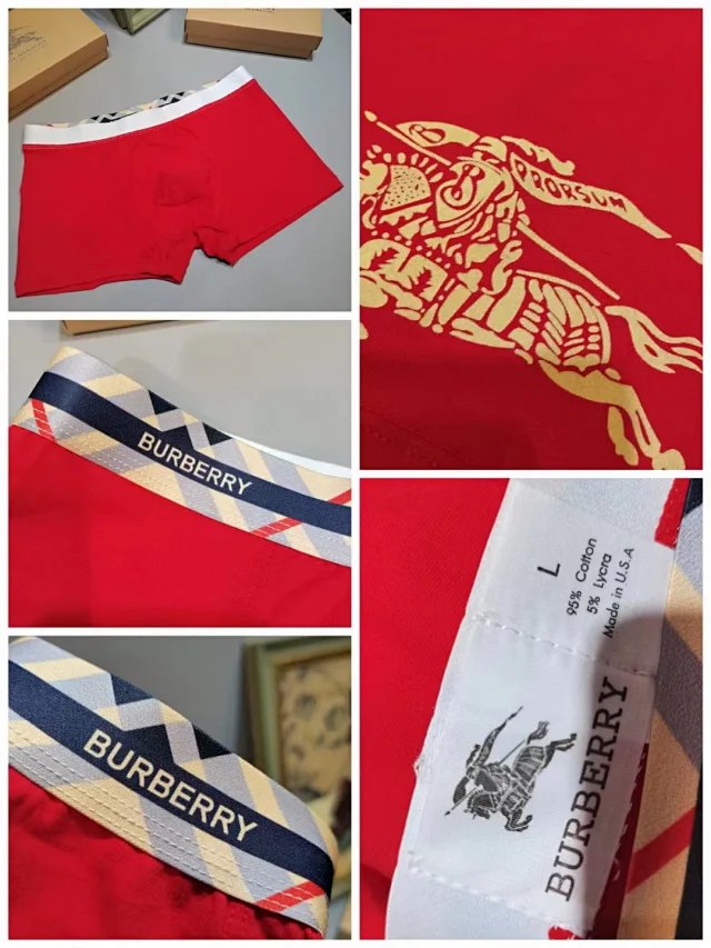  Burberry Warhorse Logo Boxer Briefs [3 styles] -3