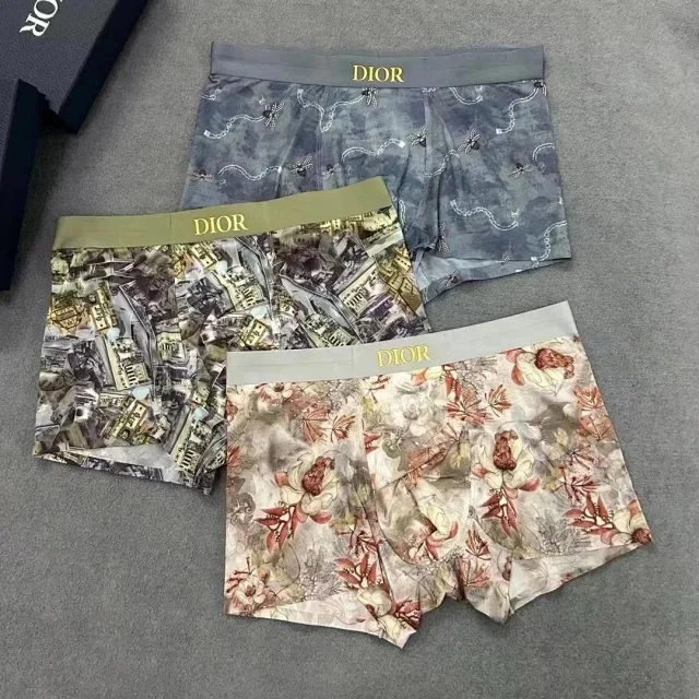 Dior Floral and Solid Underwear [29 styles]