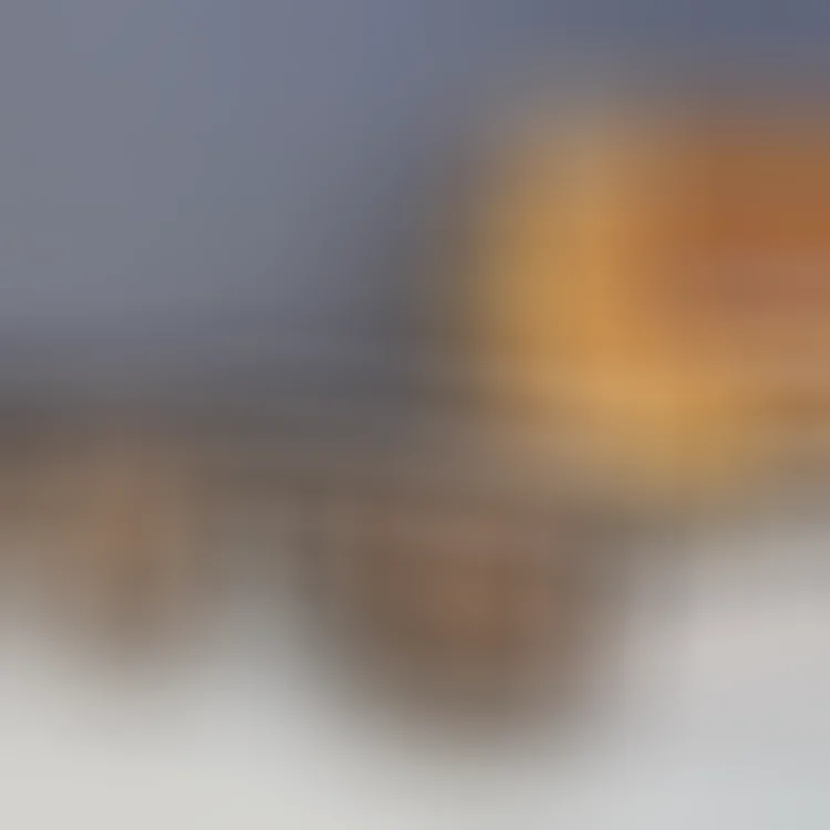  Louis Vuitton Monogram Shield Sunglasses [39 styles]