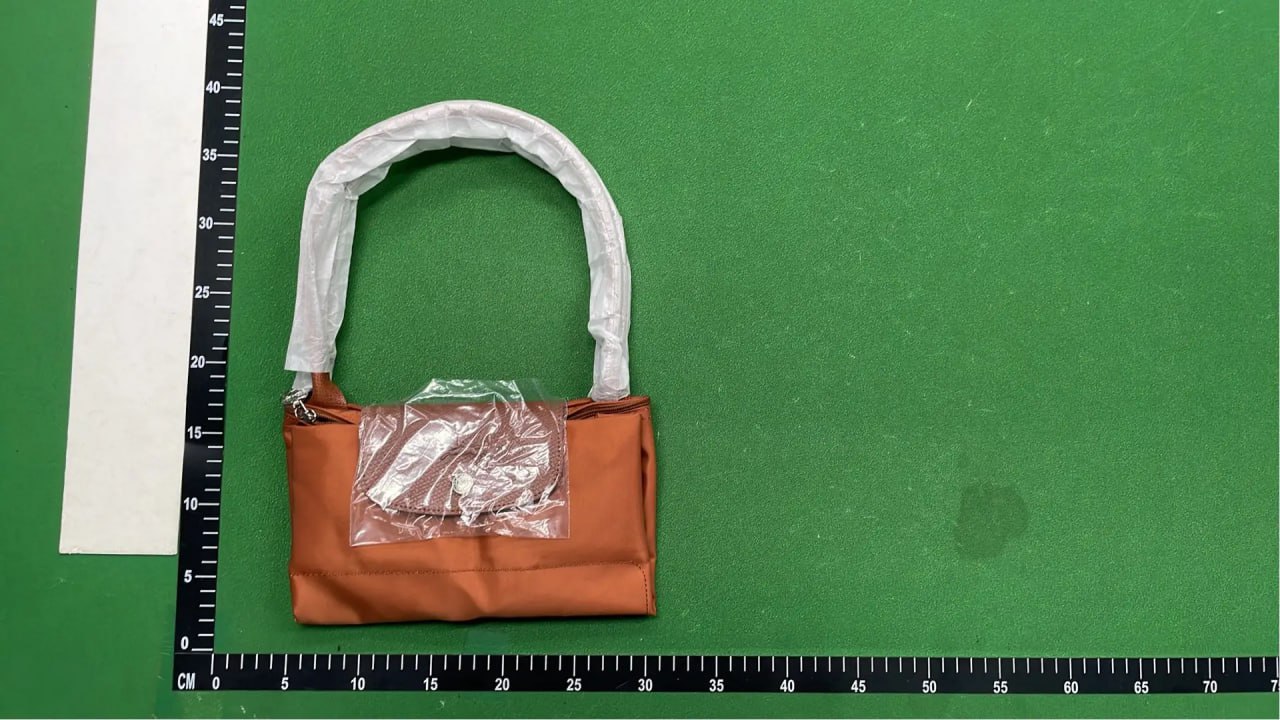  Longchamp Le Pliage Tote Bag [40 styles] -2