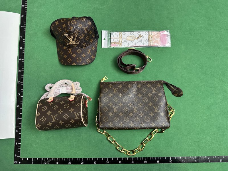 LV Monogram / Dior Oblique / Prada / Gucci GG  -4