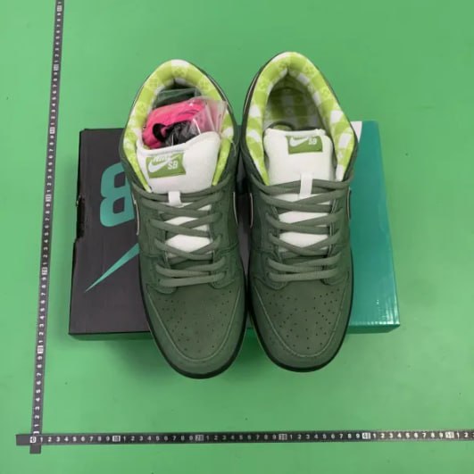 CONCEPTS x Nike Dunk -4