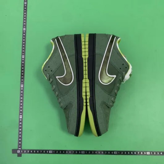 CONCEPTS x Nike Dunk -5