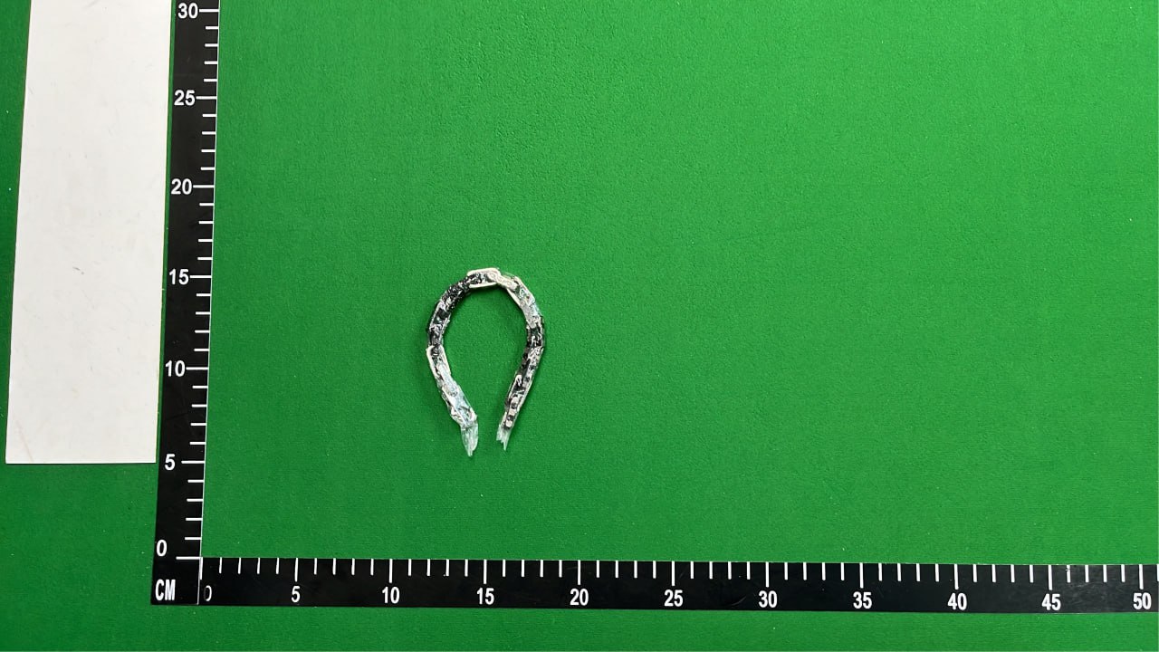 Louis Vuitton Monogram Chain with Snap Hook [2 styles] -2