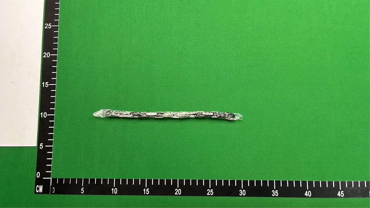 Louis Vuitton Monogram Chain with Snap Hook [2 styles] -4