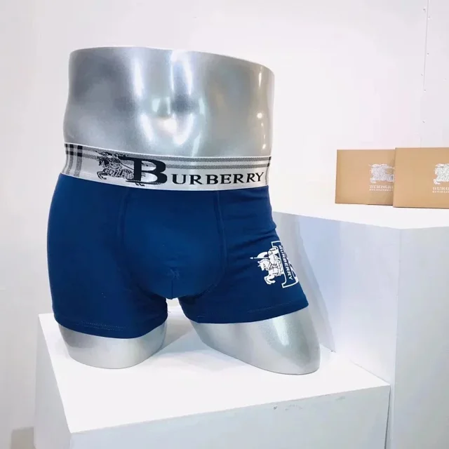 Burberry Check Logo Boxer Brie
