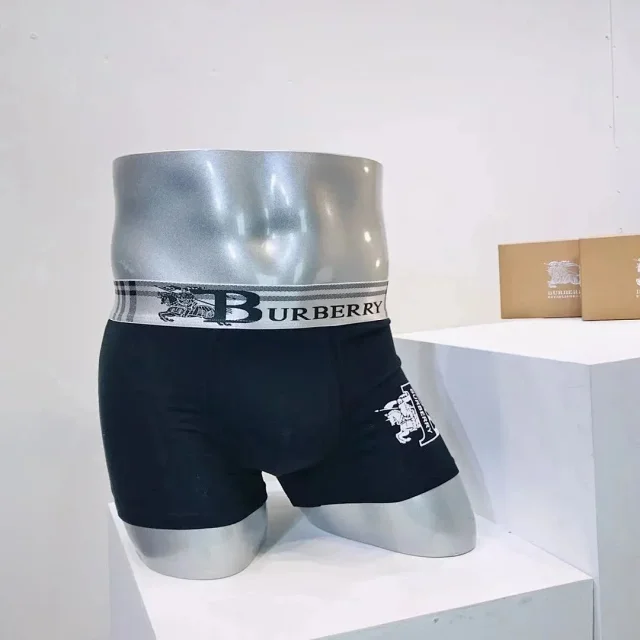 Burberry Check Logo Boxer Briefs [6 styles] -3