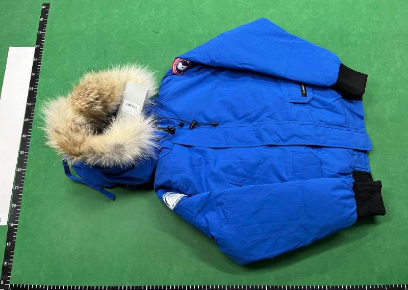  Canada Goose Down -2