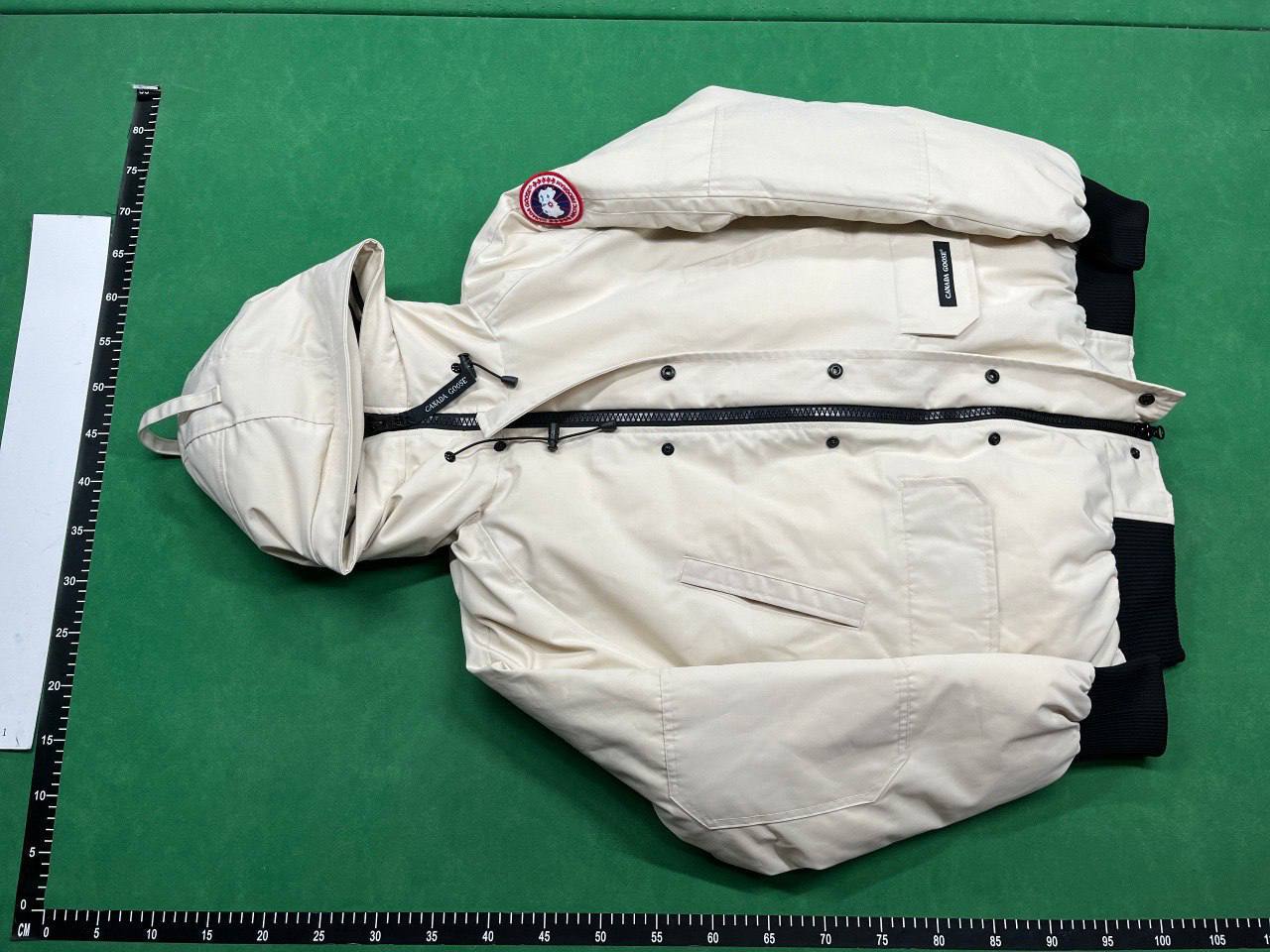  Canada Goose Down -5