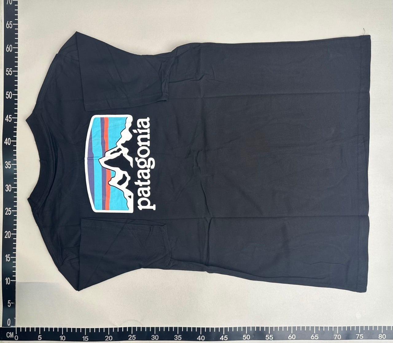  Patagonia P-6 Logo T-Shirt [35 styles] -3