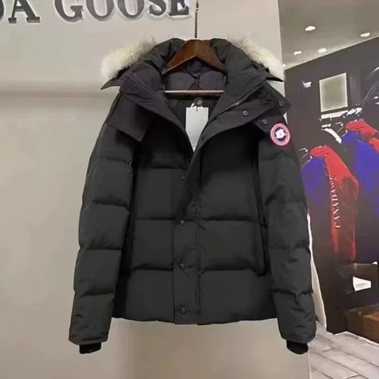 Canada goose Moncler Burberry 