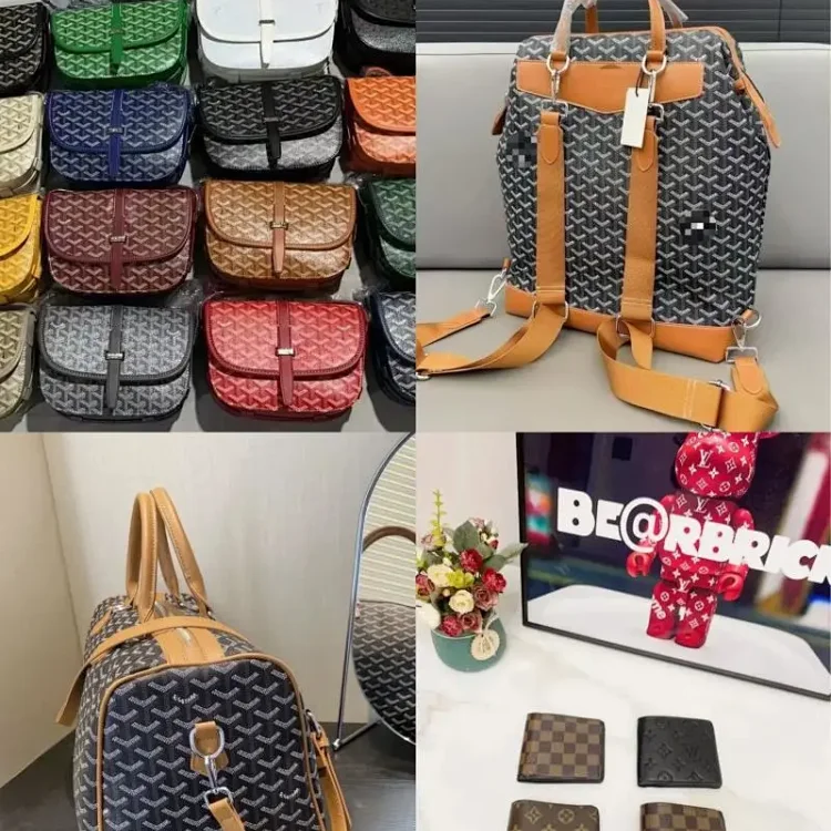   GOYARD Travel Bag/LV wallet