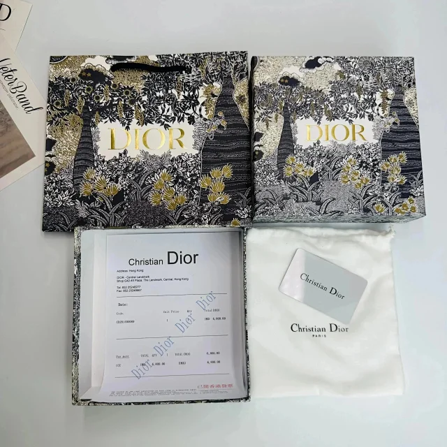  Dior simple belte