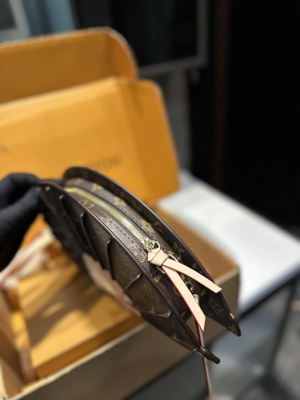  Louis Vuitton bag -4